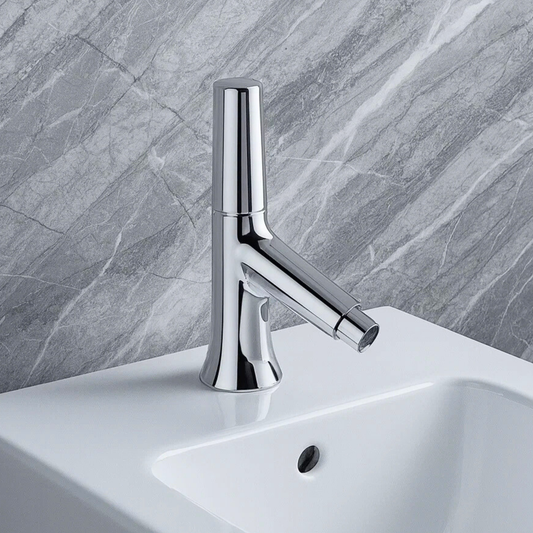 Single Handle Bidet Faucet - C8